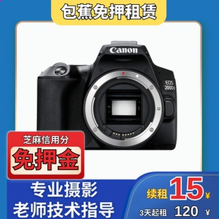 出租佳能200D 套机 专业摄影机型推荐 55mm 包蕉