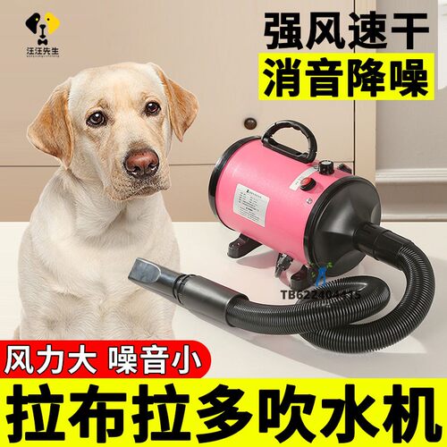 拉布拉多专用狗狗吹水机大型犬家用吹风机宠物洗澡烘干神器烘干机