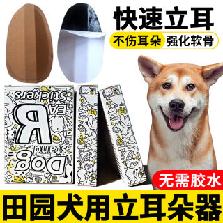 田园犬专用狗狗立耳神器小狗耳朵立耳器立耳贴幼犬竖耳辅助器夹子