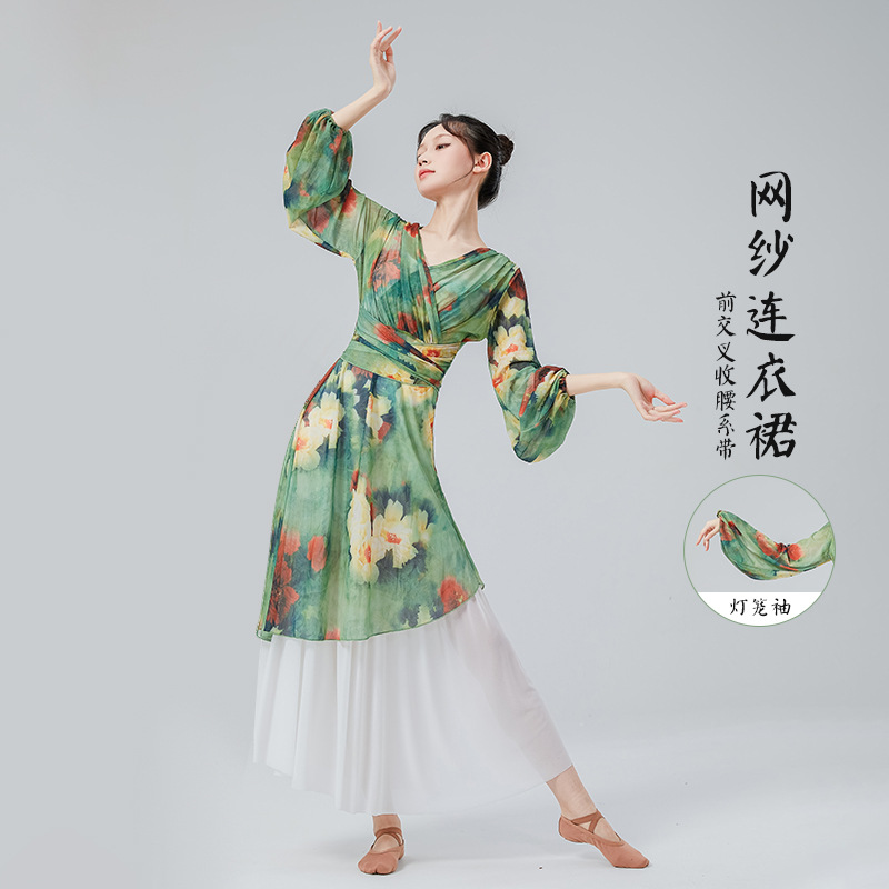 古典舞练功服女新款网纱连衣裙
