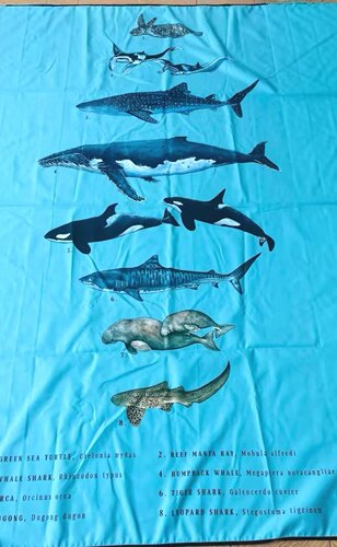 OCEANARIUM海洋生物快