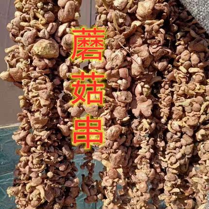 东北特产松茸红蘑红肉蘑菇干货深山自然干 500克包邮
