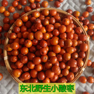 东北辽宁朝阳2025年野生小酸枣新鲜软枣有酸枣仁泡茶泡酒1斤