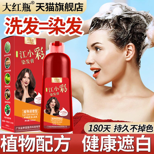 500ml植物泡泡染发剂在家染发遮盖白发懒人泡沫染发膏 大红瓶