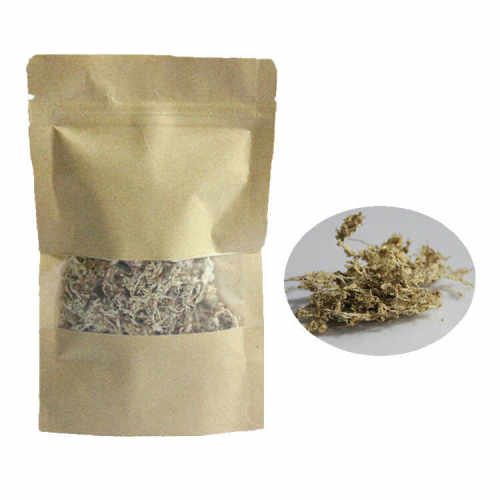 diy吸水创意DIY材料微景观生态瓶