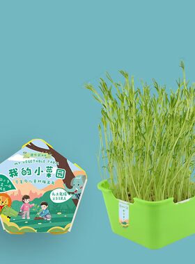 豆芽种植神器水培蔬菜设备