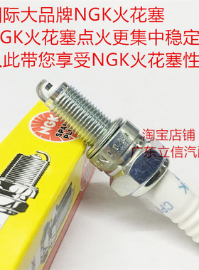 豪爵UHR150 AFR125 XCR300 DR300 TR300 UCR125摩托适用NGK火花塞