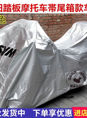 适用三阳CRUISYM300巡弋150/CRUISYM180/EVO RV250摩托车衣车罩套