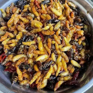 山区特产油炸野生小蜂蛹下酒菜炸蜂儿黄蜂马蜂树蜂熟食昆虫小零食
