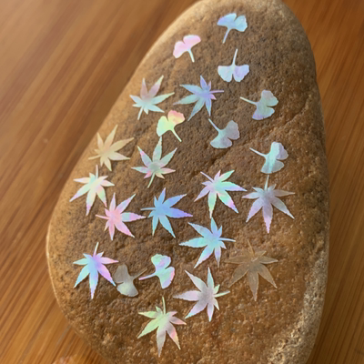 枫叶银杏叶螺钿片白蝶贝夜光贝片大漆漆器漆画漆艺绒花镶嵌材料