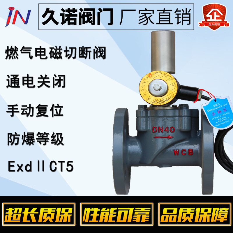 大口径天然气电磁阀防爆型燃气紧