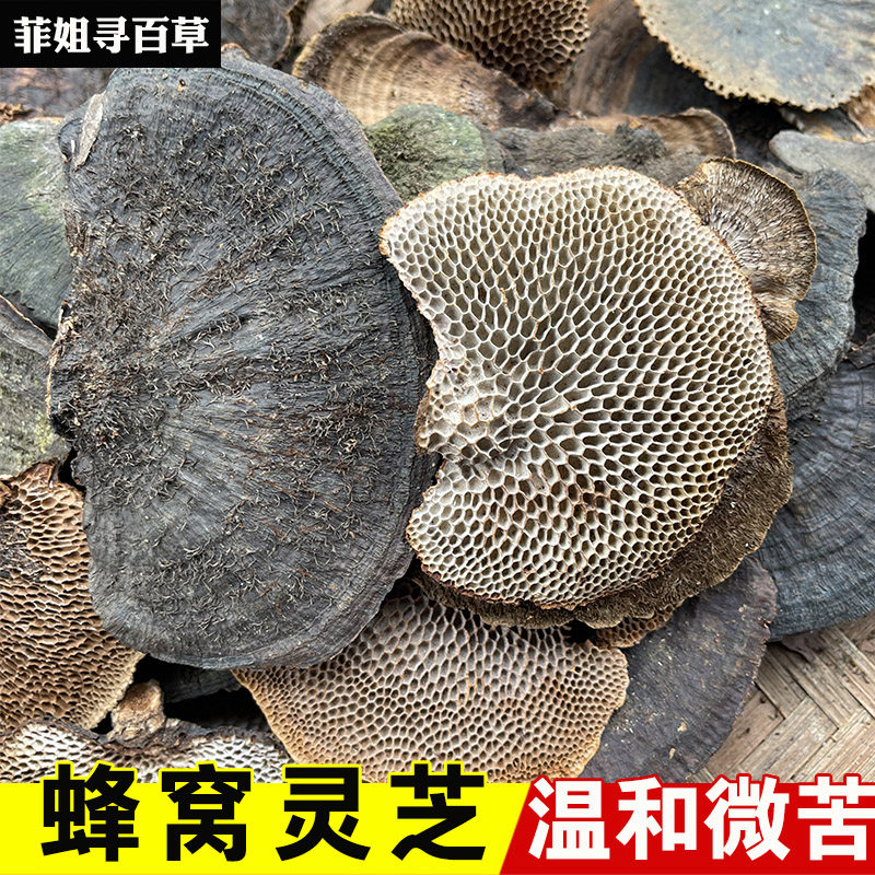 野生蜂窝灵芝  毛蜂窝菌 龙眼树灵芝 野生整株灵芝 包邮500g