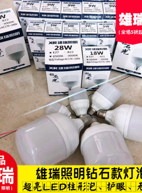 节能LED照明家用大功率灯泡