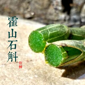 安徽霍山石斛 铁皮石斛 鲜条 500克包邮