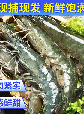 【2kg每盒】3040超大虾王级海捕大虾，净重3.5斤左右顺丰冷链包邮