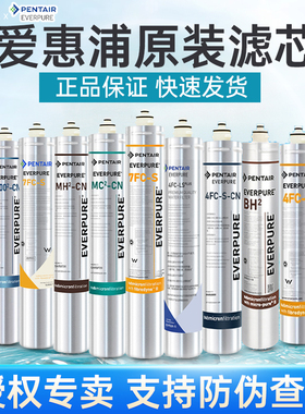 爱惠浦净水器配件主滤芯MC2 I20002 7FT 7FC 4FC I40002 MH2 EV96
