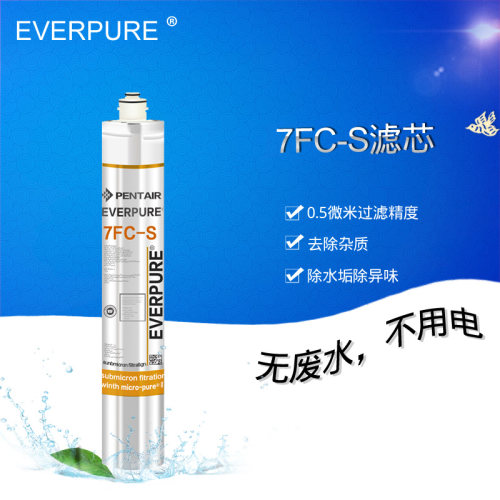 爱惠浦7FC-S主滤芯 进口主滤芯