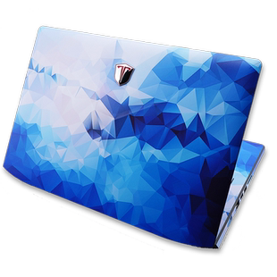 爱尔轩Aierxuan战翼S5焰魔G2贴纸PRO痛机贴F1刺客V6机身膜G1游侠R3 Z2外壳保护贴膜15.6寸夜行者X1飞行战舰X1