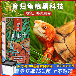 育歸龜糧發(fā)色糧半水黃緣紅面火焰鉆紋箱龜龜發(fā)色通用增色烏龜飼料