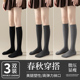 小腿袜子女春秋季 过膝袜纯棉中筒袜微压显瘦无骨长筒长袜夏季 JK潮