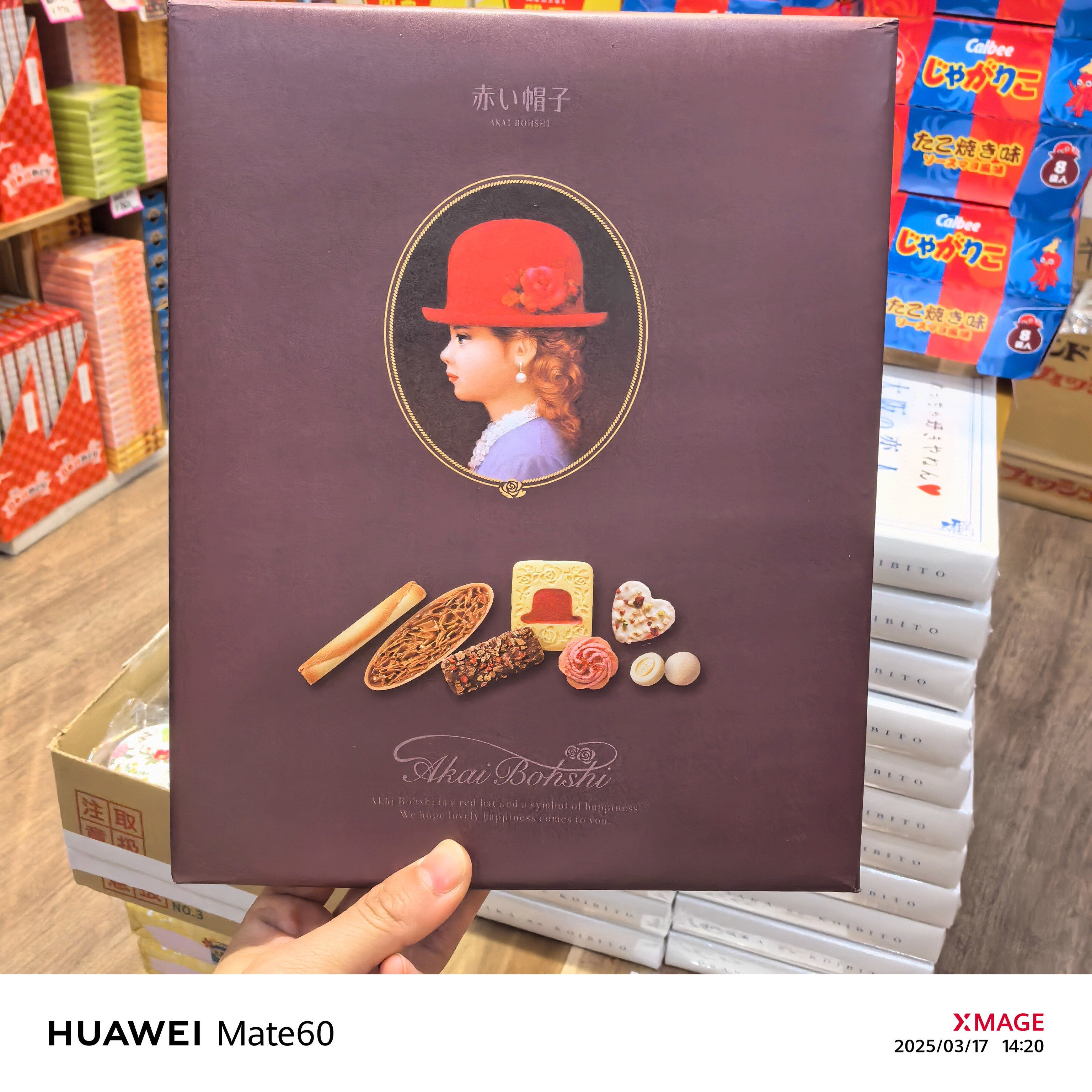 日本本土代购红帽子曲奇饼干礼盒什锦小粉帽紫圣诞节日伴手礼进口