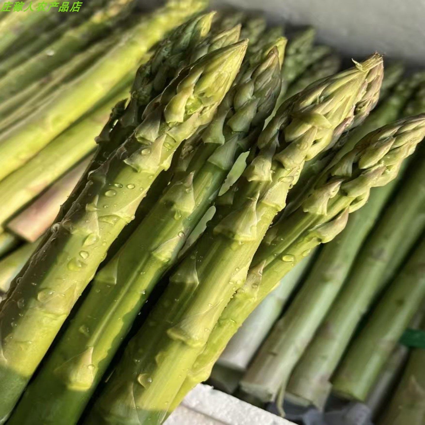 青芦笋新鲜头茬现采现发特产时令蔬菜嫩脆鲜产地直发特色美食大笋