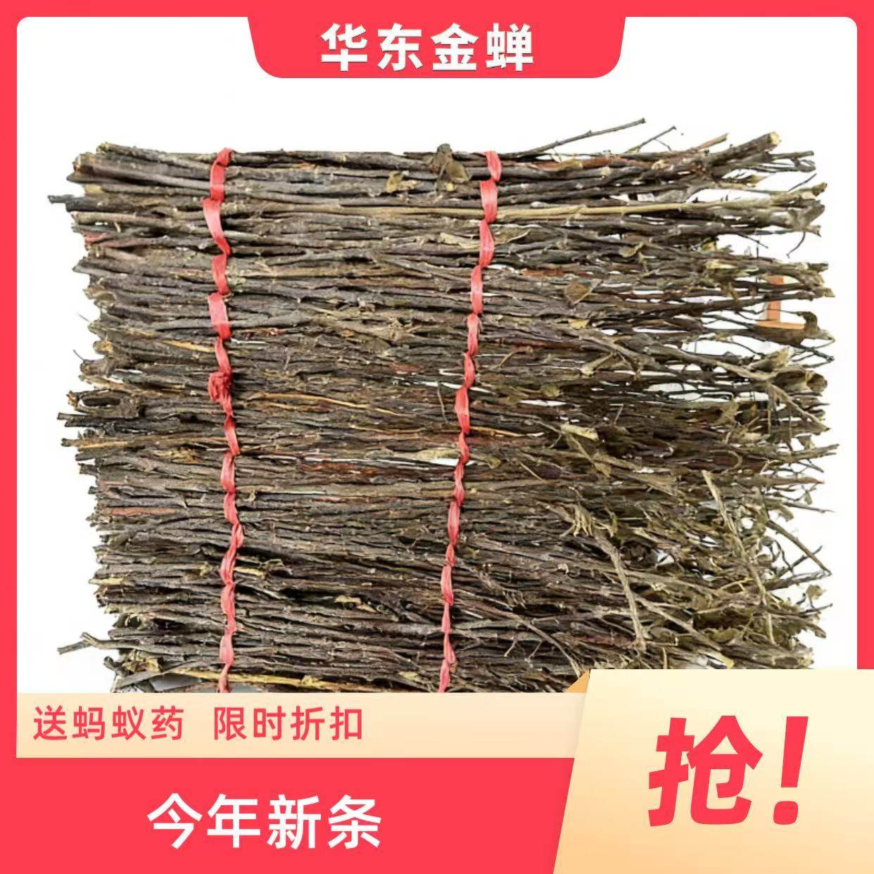 金蝉苗金蝉枝条知了猴种子金蝉卵养殖基地金蝉种苗,宠物/宠物食品及用品,爬宠清洁及日用品,淘宝优惠券,粉丝福利购,淘宝优惠卷