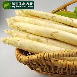 农家种植现采现挖曹县中西餐绿色蔬菜白芦笋高档食材当季上市新鲜