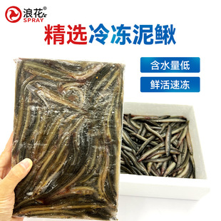 浪花冻板泥鳅条中大型鱼鱼食高蛋白催体鱼粮鱼食去黏液黄线泥鳅