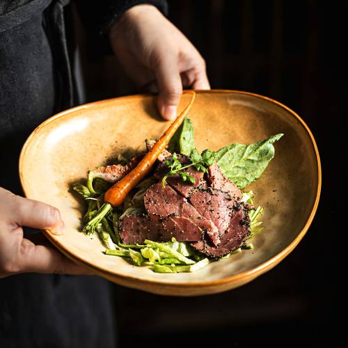 盘子特别好看的高级餐盘2025新款