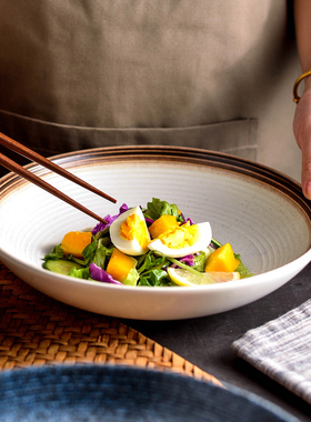 新款高级深盘特别好看菜盘家用盘子陶瓷釉下彩复古餐盘日式餐具