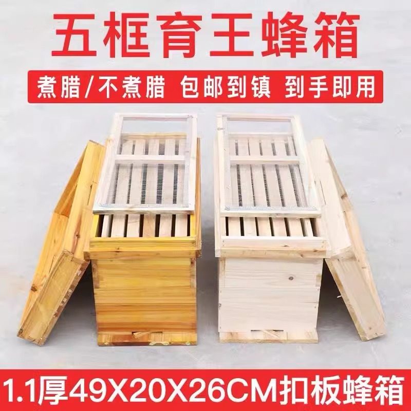 广式5框育王蜂箱1.1厚49/46/42小蜂箱不煮腊/煮腊蜜蜂箱薄款杉木,传统滋补营养品,蜂蜜糖/蜂制品,淘宝优惠券,粉丝福利购,淘宝优惠卷