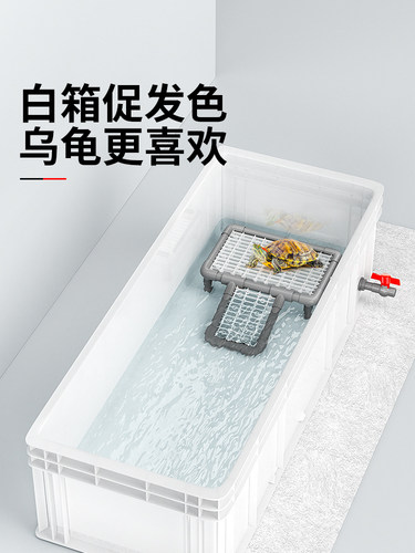 龟缸、龟繁殖池、大型龟繁殖箱、龟周转箱、户用排水养龟专用生态