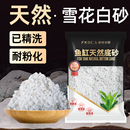 饰寄居蟹乌龟草缸铺底专用沙 天然白沙石英细沙鱼缸沙子底沙造景装