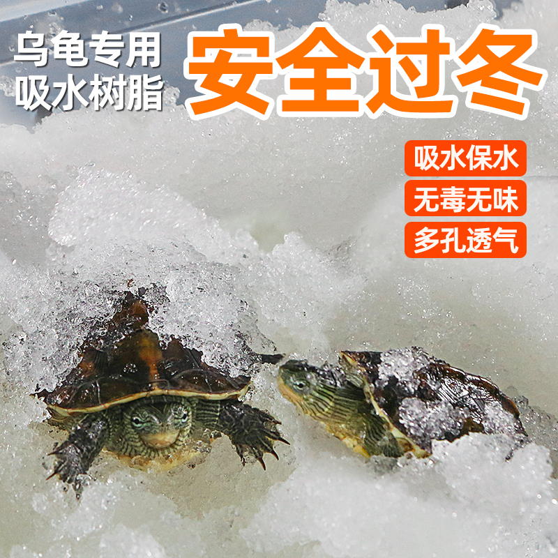 疯狂水草乌龟冬眠保温保湿