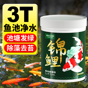 鱼池除藻去苔剂青苔净浮萍清除剂除绿藻神器浮萍净除绿水专用剂
