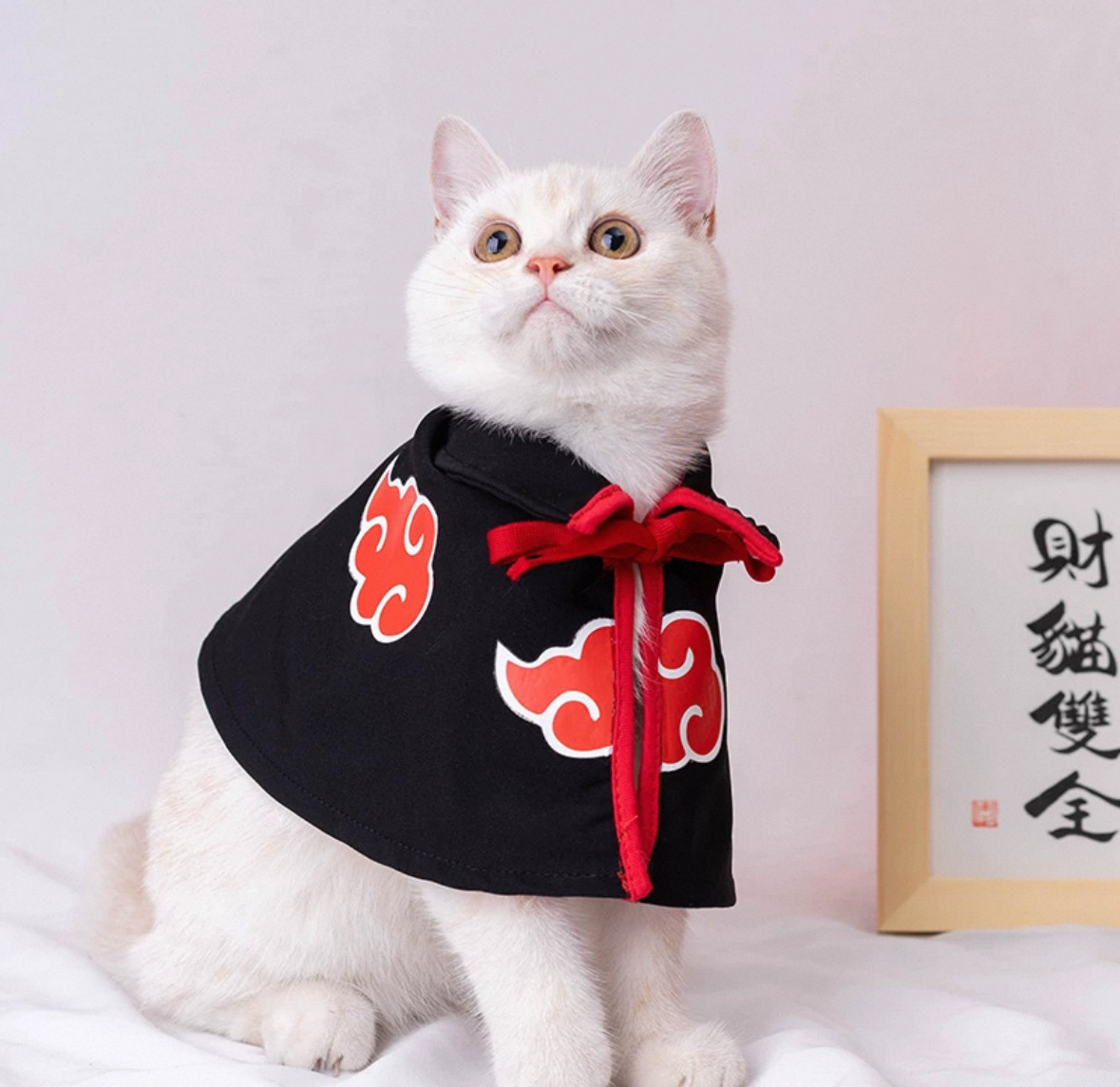 猫猫衣服火影晓组织红云披风狗狗猫宠物服装/雨衣（新