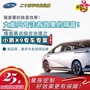 大能汽车隔音 专车定制密封全车降低风噪胎噪共振解决 小鹏X9