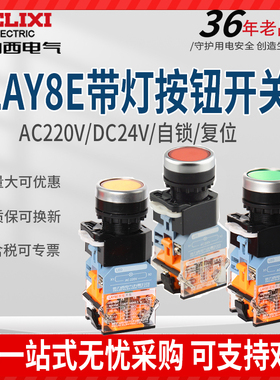 德力西LAY8E-11D 带灯按钮开关启动自复位 自锁220V 24V LA38-11D