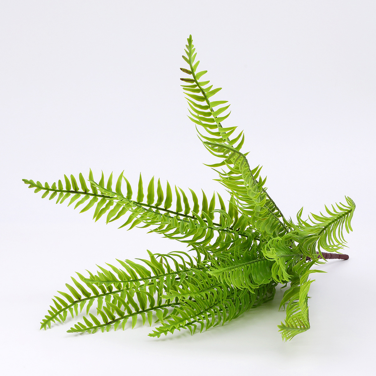 仿真植物绿植隔断落地花艺造景装饰塑料蕨叶排草蕨类波斯草蕨草