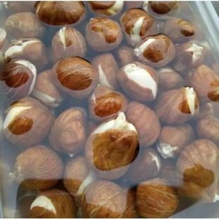 发财树种子树种子金钱树种籽四季易种活庭院阳台盆栽花卉种籽