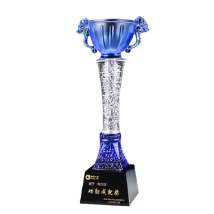 亚克力奖牌框木头牛年全勤宝宝挂牌定制团队制作王者荣耀金箔奖杯