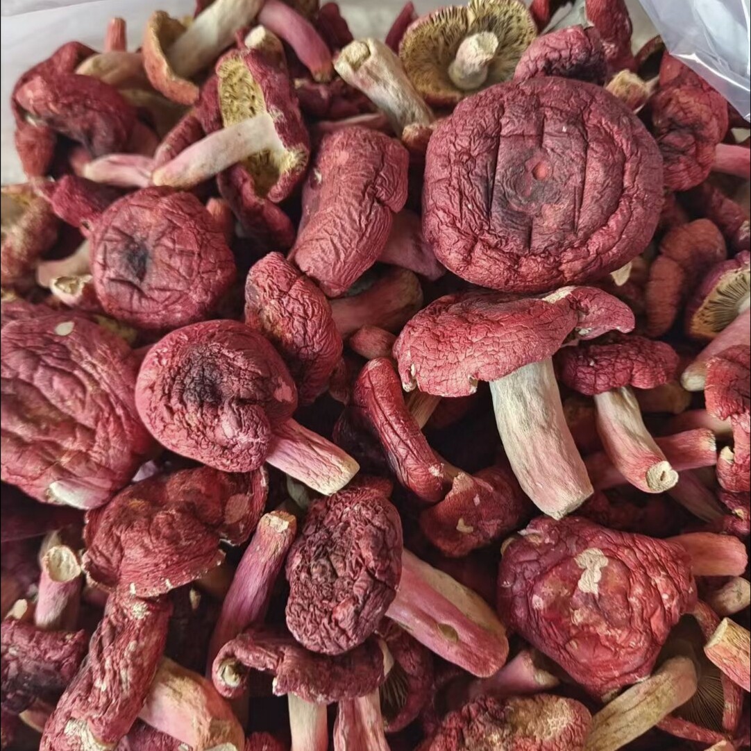 长寿之乡广西浦北特产野生红椎菌干货
