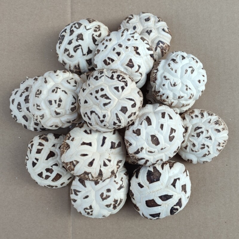 天白花菇1-3-12厘米大小冬菇干货香菇特产农家商用食用菌蘑菇煲汤