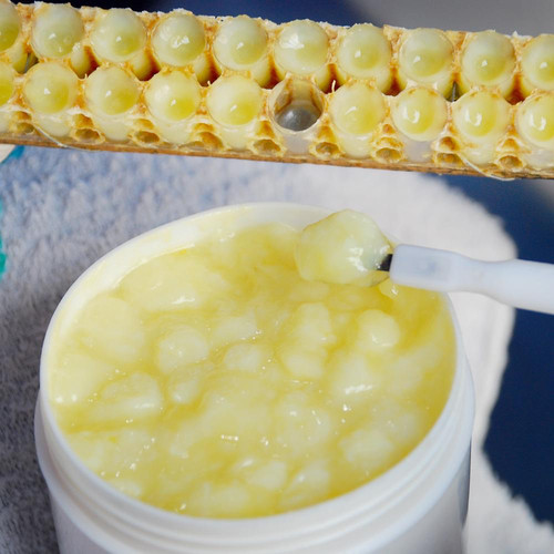 高品质蜂王浆农家自产蜂皇浆新鲜活早春浆纯正天然