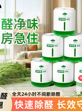 24小时持久除甲醛安心入住新房