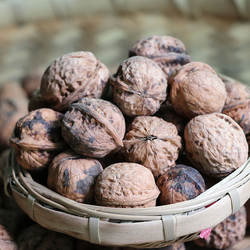 拍2袋包邮 老树土核桃广元青川农家自产500g干货