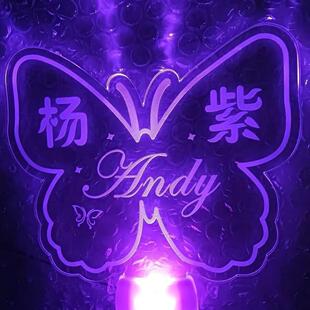 杨紫周边应援物发光手灯演唱会荧光棒粉丝应援棒活动助威道具