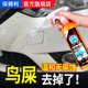 不伤车漆 汽车鸟屎清洗剂树胶清洁剂虫胶车漆去污树脂清除剂