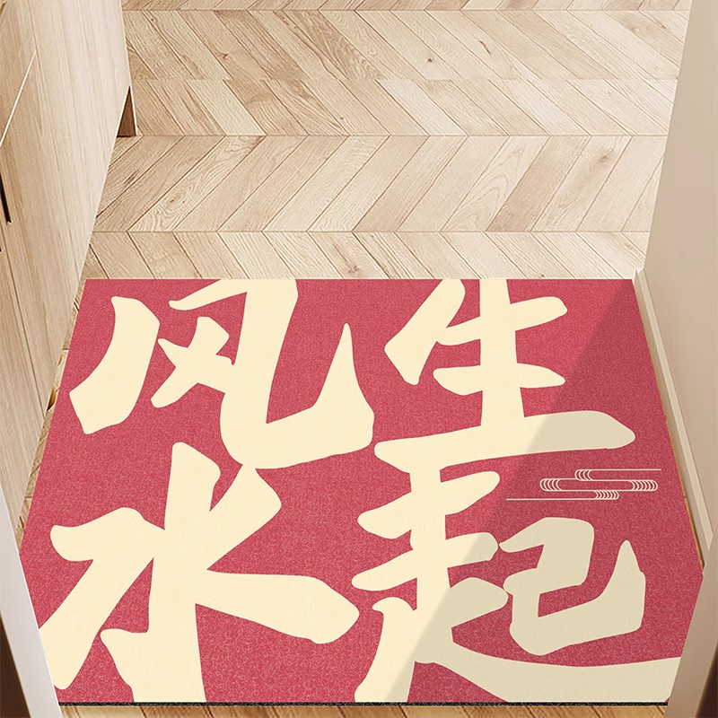 风水宝地丝圈入户除泥垫米娜春天